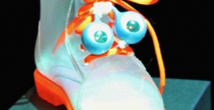 Notre petite chaussure ordinaire