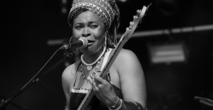 Scène festival No-Logo (39)