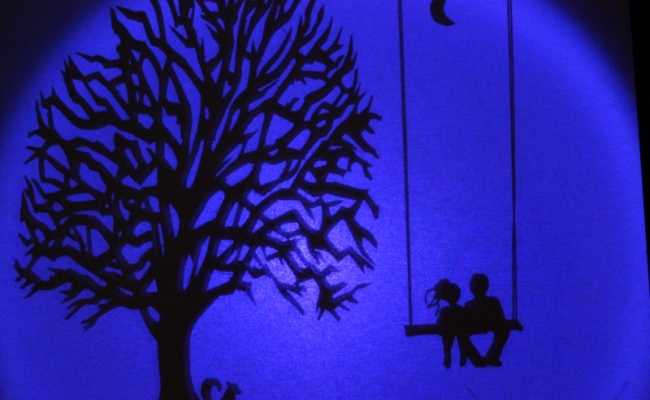 Ombromanie Spectacle D Ombre Chinoise Pour L Evenementiel