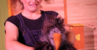 Panique à Cocotte-Ville ! - Naïa et la poule