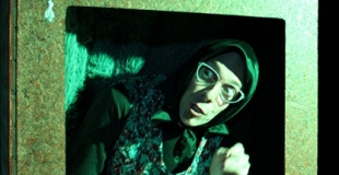 Panique à Cocotte-Ville ! - Madame Hortense