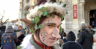 les luperons lutins de la fôret