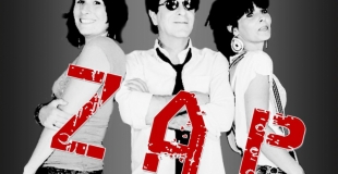 ZOU, AUREL et PRUNE ZAP Cie Du bruit dans l'escalier