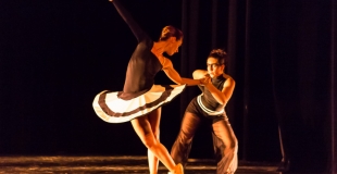 Vertiginous Lines - Partie I