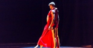 Vertiginous lines partie II 