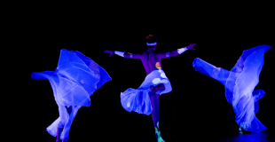 Viva - plumes noiresTableau en lumières noires