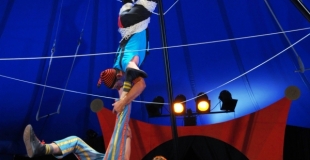 ChamamuZZZ, du cirque en cascade