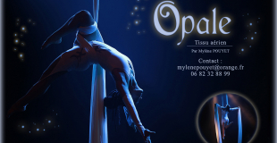 Tissu aérien - Mylène POUYET