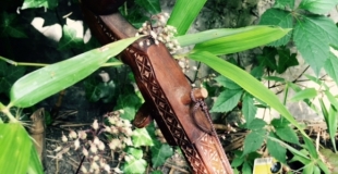 Un violon à tête de cheval