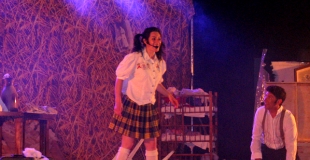 Grenier de ma Grand Mère 3