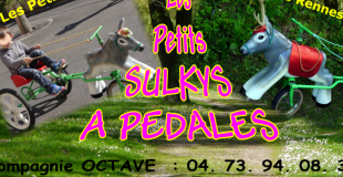 des petits sulkys à pédales pour toutes les saisons