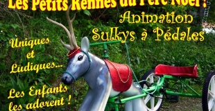 Les Petits Rennes du Père Noël