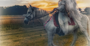 La Parade de Xinthya - spectacle equestre musical