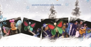 flyer un papillon sous la neige