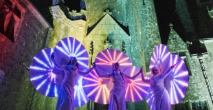 Les Nymphéas s'intègrent à tous les contextes