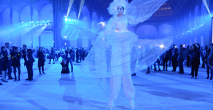 Les Féérix, l'élégance d'échassiers blancs lumineux