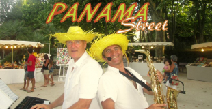 Animation Musicale Déambulatoire