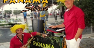 Animation Musicale de Rue