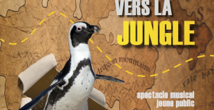 Affiche du Long voyage du pingouin vers la jungle