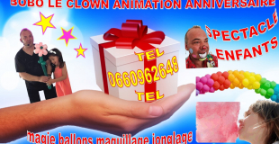 animation anniversaire marseille