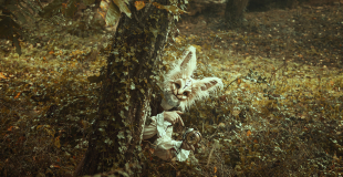 Wonderland, déambulation folle d'échassiers enchantés. Parfait pour les carnavals, paques et festival de musique. Possibilité de jonglage et jonglage lumineux