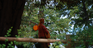 Kaliyana l'Arbre à Voeux