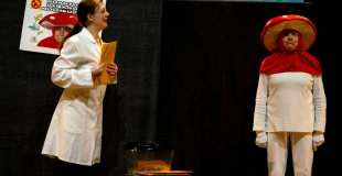 Spectacle Mais où sont passées les abeilles