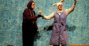 Spectacle Mais où sont passées les abeilles