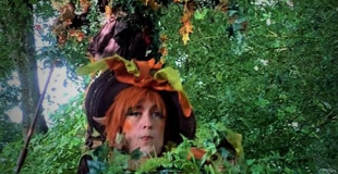 Les Hellébores trio