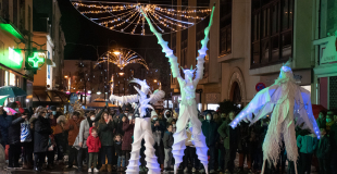 Echassiers lumineux 4 pattes cabrés