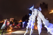 Echassiers blancs lumineux en parade