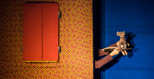 Photo_Laissez-moi rêver