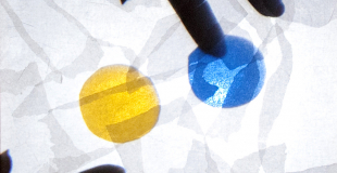 Spectacle Petit Bleu et Petit Jaune 