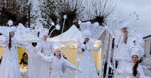 échassiers blancs et lumineux