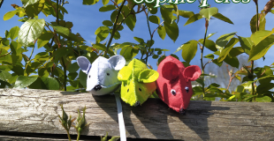 Assemblée de mulots