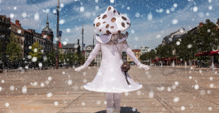 Déambulation d'échassiers blancs