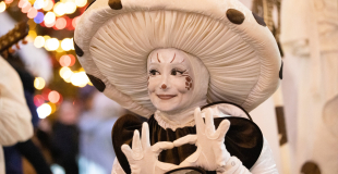 Déambulation d'échassiers blancs