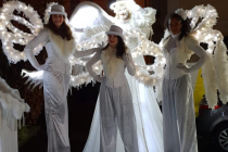 Lady light version plumes