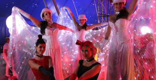 Lady light version aile lumineuse