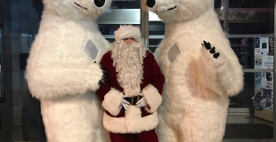 Ours et Père Noël