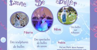 Bulles géantes animations