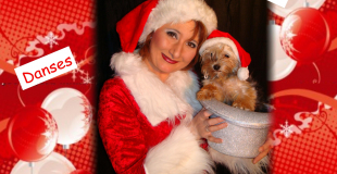 Le chapeau magique de la mère noeël