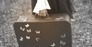 Crédit photo Sev Denis