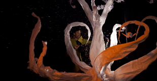 Magicien Montpellier Brice depoortere