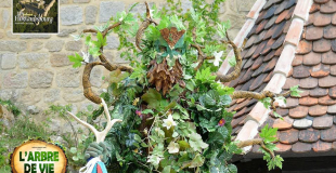 GROS PLAN ARBRE DE VIE