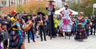 Los Locos & Mariachi