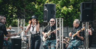 MadSound - Les Musiciens