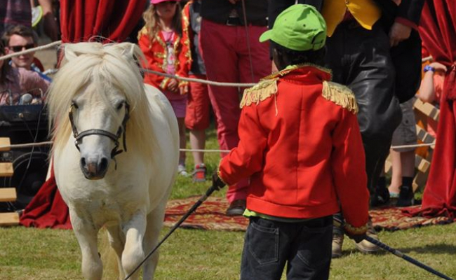 Liste Artistes Et Spectacles Pays De La Loire Artesine