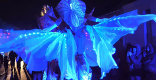 Le Peuple des Océans