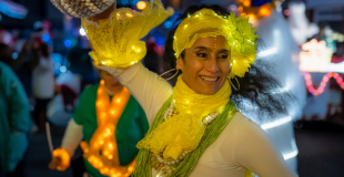 parade limineuse sous les tropiques wim percussion tambours echasses danses lumineux (800x533)